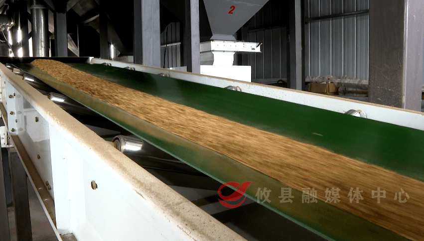 威廉希尔中国助农“扛把子”！攸县这家企业的新型设备开足马力可日烘干400吨稻谷(图3)